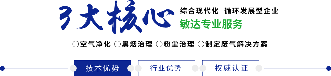 强遭暴呻吟戏视频大全敏达环保科技（嘉兴）有限公司